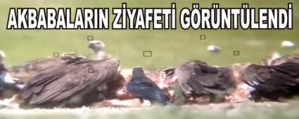 AKBABALARIN ZYAFET GRNTLEND