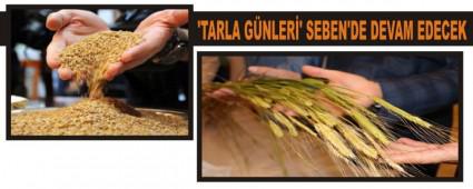 TARLA GNLER' SEBEN'DE DEVAM EDECEK