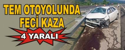 TEM OTOYOLUNDA FEC KAZA