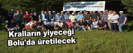 Krallarn yiyecei Bolu'da retilecek