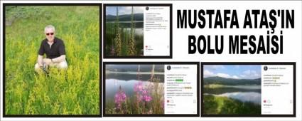 MUSTAFA ATA'IN BOLU MESAS