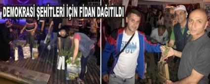 DEMOKRAS EHTLER N FDAN DAITILDI