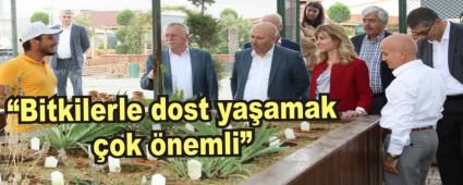 Bitkilerle dost yaamak ok nemli