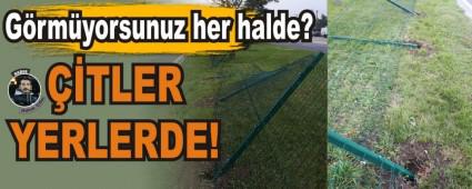 Grmyorsunuz her halde?