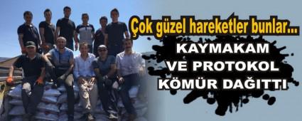 ok gzel hareketler bunlar