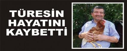 TRESN HAYATINI KAYBETT