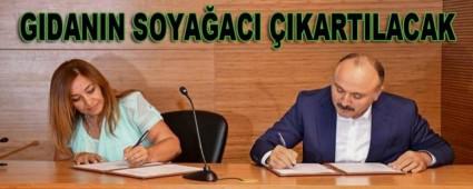 GIDANIN SOYAACI IKARTILACAK   