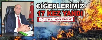 CERLERMZ 17 KEZ YANDI