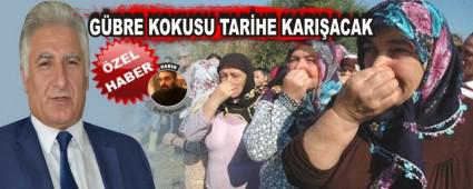 GBRE KOKUSU TARHE KARIACAK