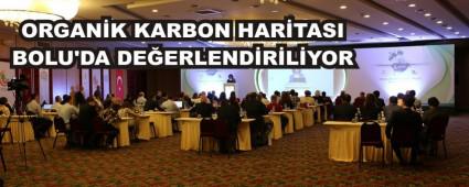 ORGANK KARBON HARTASI BOLU'DA DEERLENDRLYOR