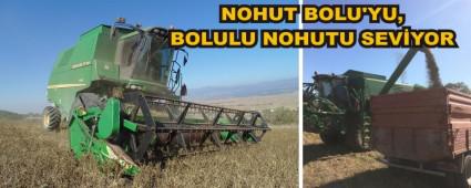 NOHUT BOLU'YU, BOLULU NOHUTU SEVYOR