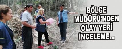 BLGE MDR'NDEN OLAY YER NCELEME