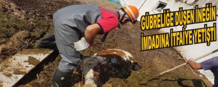 GBRELE DEN NEN MDADINA TFAYE YETT