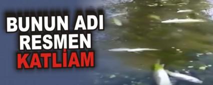 BUNUN ADI RESMEN KATLAM