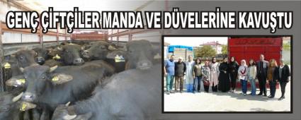 GEN FTLER MANDA VE DVELERNE KAVUTU