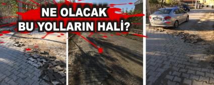 NE OLACAK BU YOLLARIN HAL?