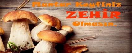 MANTAR KEYFNZ ZEHR OLMASIN