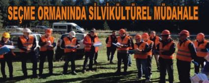 SEME ORMANINDA SLVKLTREL MDAHALE