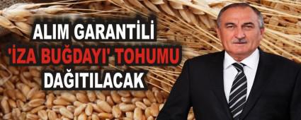 ALIM GARANTL ZA BUDAYI' TOHUMU DAITILACAK