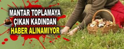 MANTAR TOPLAMAYA IKAN KADINDAN HABER ALINAMIYOR