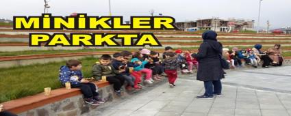 MNKLER PARKTA