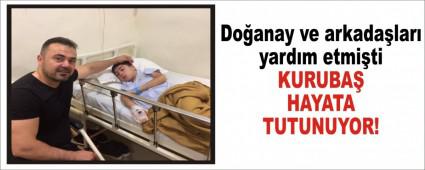 KURUBA HAYATA TUTUNUYOR!