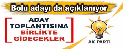 Bolu aday da aklanyor