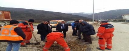 EFRAYM ZDEMR ALIMALAR HAKKINDA BLG VERD