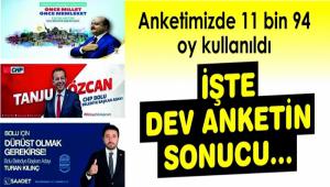 TE DEV ANKET SONUCU