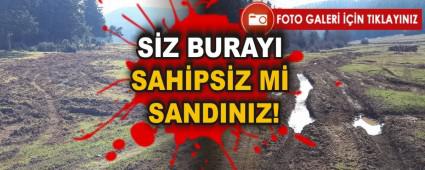 SZ BURAYI SAHPSZ M SANDINIZ!