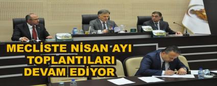 MECLSTE NSAN AYI TOPLANTILARI DEVAM EDYOR