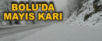 BOLU\'DA MAYIS KARI