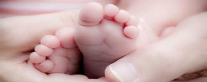 BOLU\'NUN DOURGANLIK 1,52 OLDU