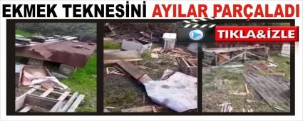 EKMEK TEKNESN AYILAR PARALADI