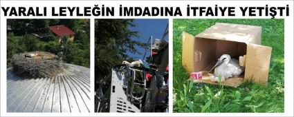 YARALI LEYLEN MDADINA TFAYE YETT