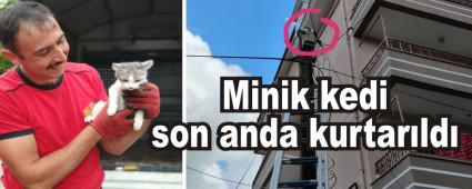 Minik kedi son anda kurtarld