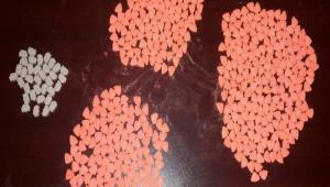 YZLERCE HAP ELE GERLD