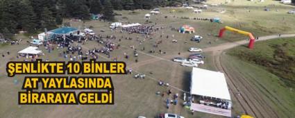 ENLKTE 10 BNLER AT YAYLASINDA BRARAYA GELD