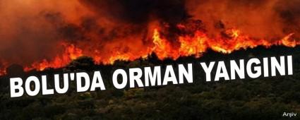 BOLU\'DA ORMAN YANGINI