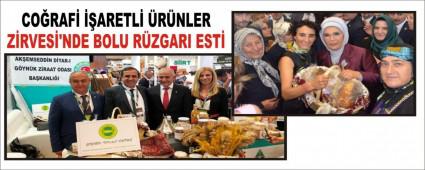 CORAF ARETL RNLER ZRVES\'NDE BOLU RZGARI EST