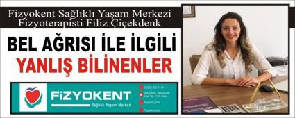 BEL ARISI LE LGL YANLI BLNENLER