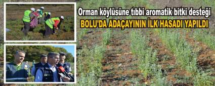 BOLU\'DA ADAAYININ LK HASADI YAPILDI