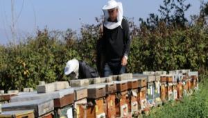 BAL RETM N AKADEMK DESTEK