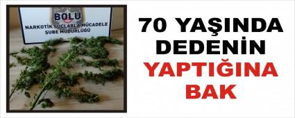 70 YAINDA DEDENN YAPTIINA BAK