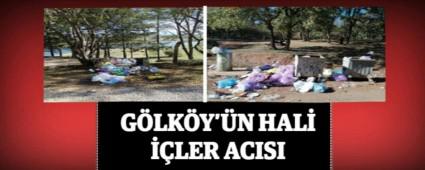 GLKY\'N HAL LER ACISI