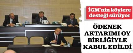 DENEK AKTARIMI OY BRLYLE KABUL EDLD