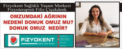 OMZUMDAK ARININ NEDEN DONUK OMUZ MU?