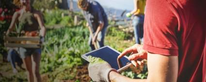 Tarmda dijital dnmn yol haritas karld