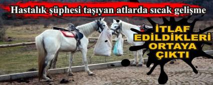 Hastalk phesi tayan atlarda scak gelime