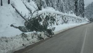 KAR YAII ABANT YOLUNDA AALARI DEVRD